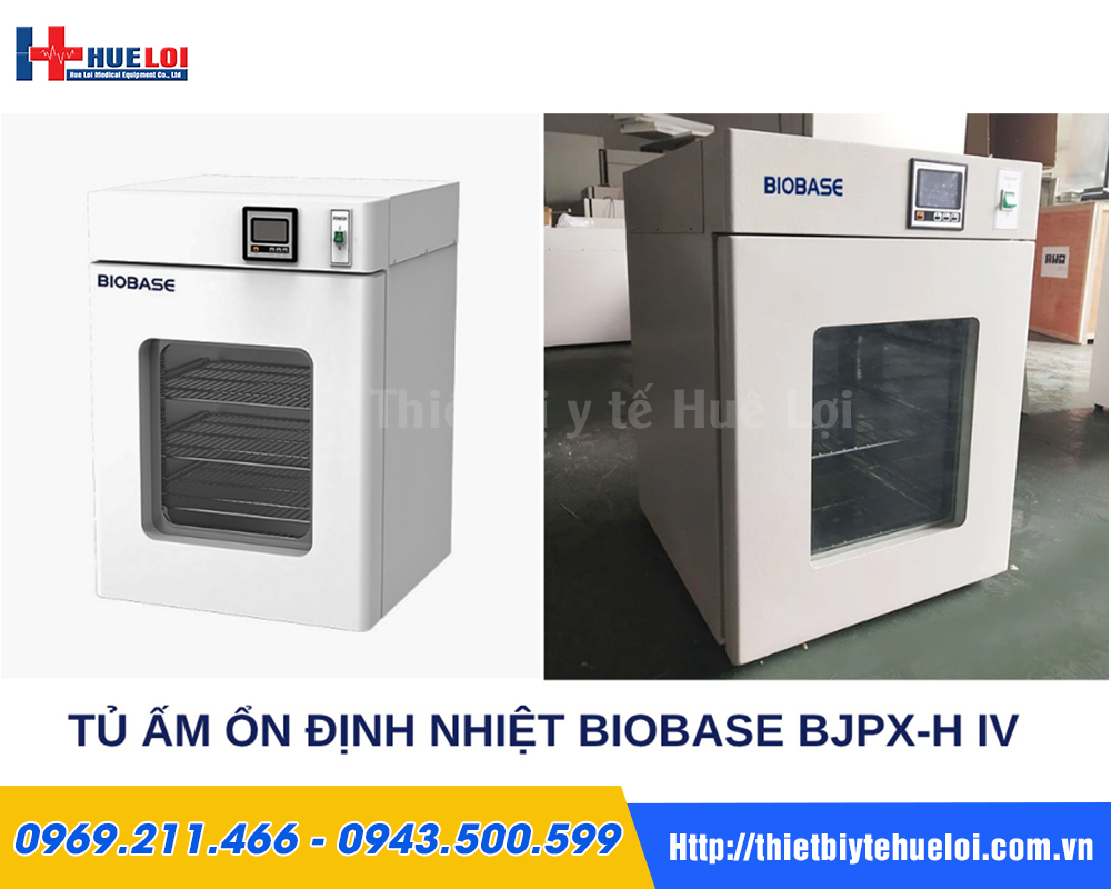 Tủ ấm ổn định nhiệt Biobase BJPX-H-IV