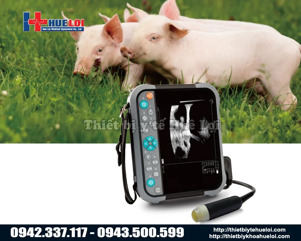 Máy siêu âm thú ý cầm tay giá rẻ