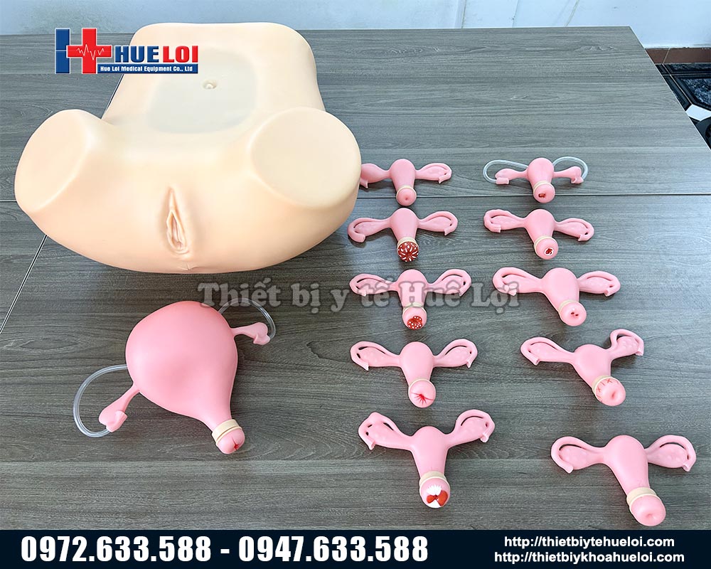 mô hình đào tạo khám phụ khoa