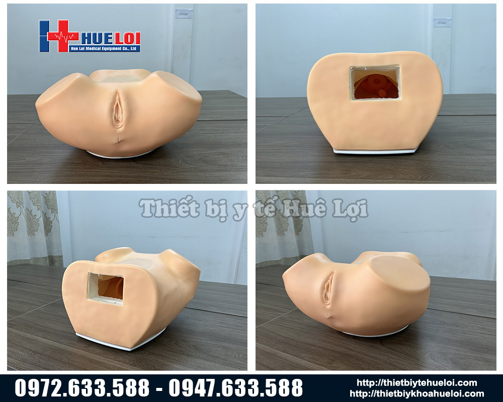 mô hình thăm khám phụ khoa