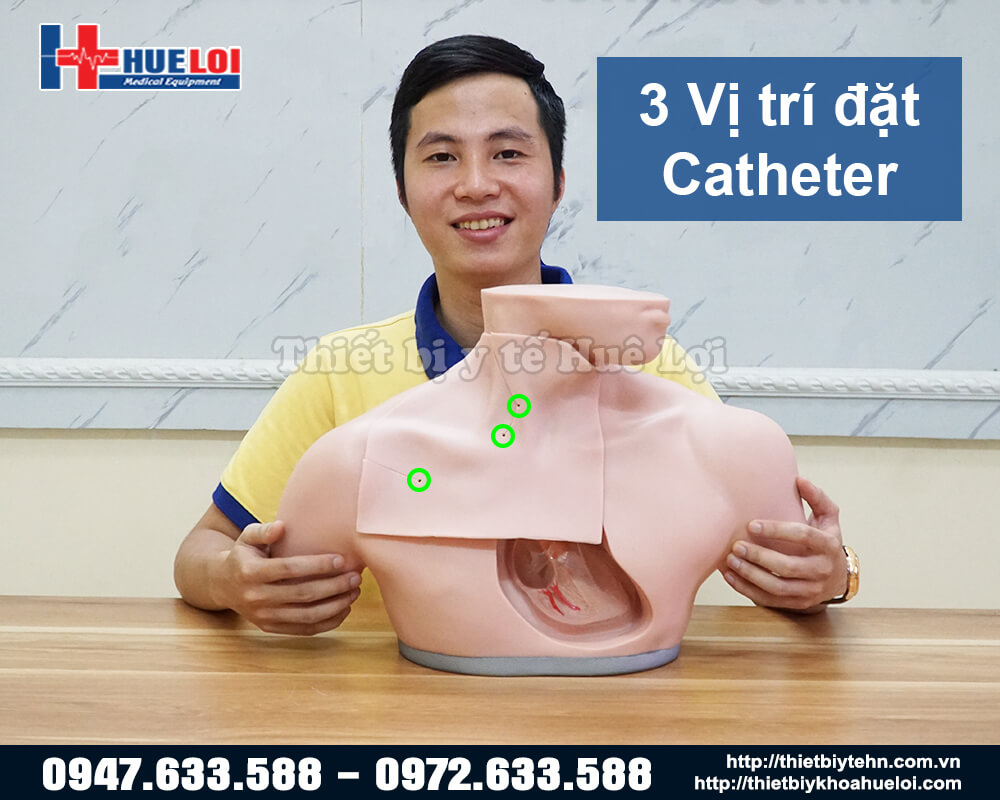 các vị trí đặt catheter tĩnh mạch trung tâm