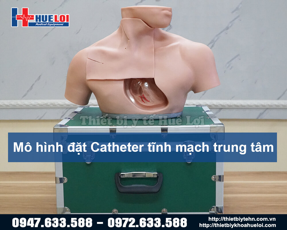 mô hình đặt catheter tĩnh mạch trung tâm