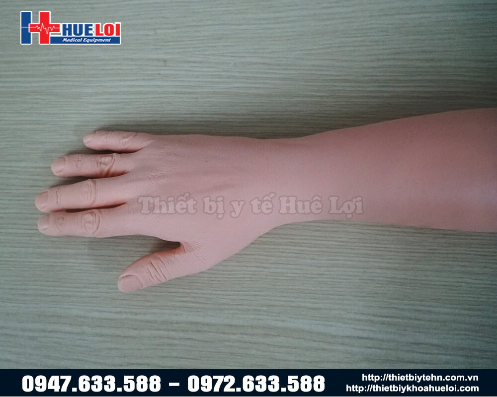 mô hình bàn tay giả thực hành khâu vết thương