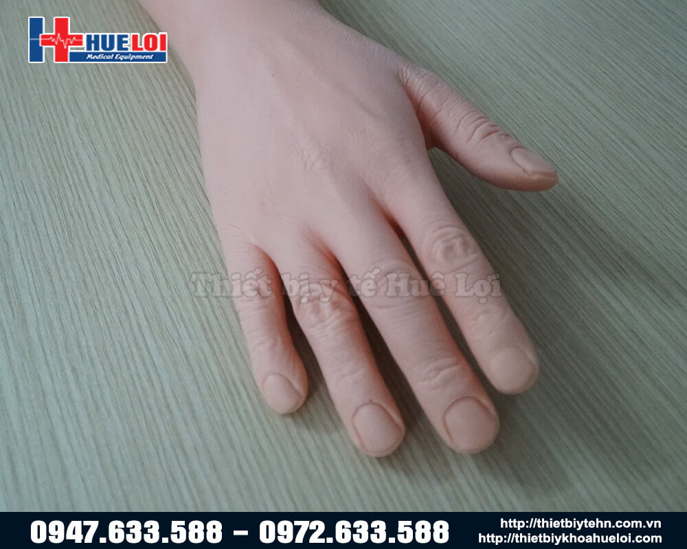 mô hình bàn tay người thực hành chăm sóc vết thương