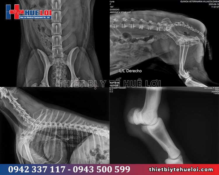 chất lượng hình ảnh máy x-quang kỹ thuật số thú y