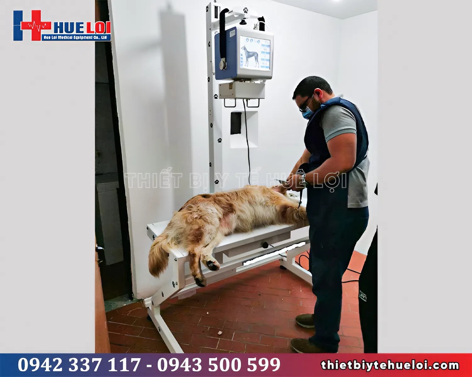 máy x-quang thú y di động 